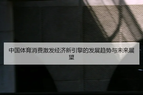 zhong-guo-ti-yu-xiao-fei-ji-fa-jing-ji-xin-yin-qing-de-fa-zhan-qu-shi-yu-wei-lai-zhan-wang-2-925.jpg